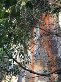 Pyrmont Action is keen for new members